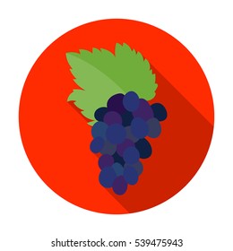 Bunch of grapes icon in flat style isolated on white background. Greece symbol stock vector illustration.