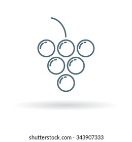 Bunch of grapes icon. Fruit sign. Vineyard symbol. Thin line icon on white background. Vector illustration of grapes.
