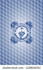 bunch of grapes icon inside blue emblem with geometric pattern.