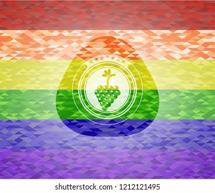 bunch of grapes icon inside emblem on mosaic background with the colors of the LGBT flag