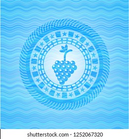 bunch of grapes icon inside light blue water wave badge.