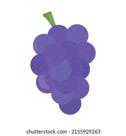 bunch of grapes icon on white background