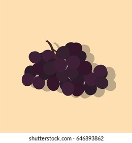Bunch of grapes icon, vector illustration design. Fruits collection.