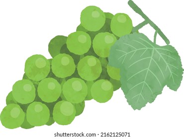 Bunch of Grapes Illustration, Fruit