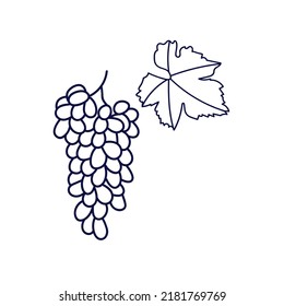 Bunch of grapes isolated on white background.Line drawing.  Black line sketch on white background. 