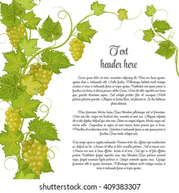 Bunch de uvas para la etiqueta de vino u otros. Página de patrón de uvas. Uva verde con hojas verdes.