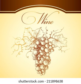 Bunch of grapes for label of wine.wine,  wine grapes,  grapes isolated,  vineyard,  fruit,  grapefruit,  grape vine