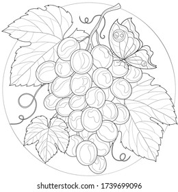 Bunch of grapes with leaf. Butterfly.Coloring book antistress for children and adults. Illustration isolated on white background.Zen-tangle style.