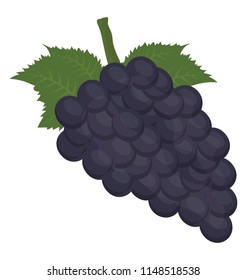 
Bunch of grapes with leaf depicting wine grapes
