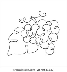 Bunch of grapes with leaf drawn with continuous line in minimalism, abstract, sweet fruit, healthy eating, vegetarianism, one line, editable vector contour