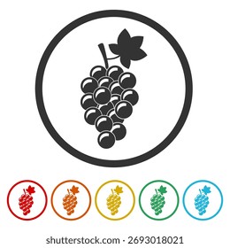 Manojo de uvas con icono de hoja. Establecer íconos en Botones de círculo de color