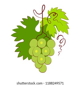 Bunch of grapes with leaf isolated on white background. Green grape bunch icon vector illustration.