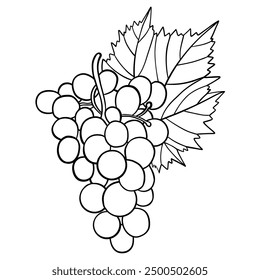 Manojo de uvas con hoja. Trazo de contorno. Dibujo de líneas, libro para colorear. Ilustración vectorial