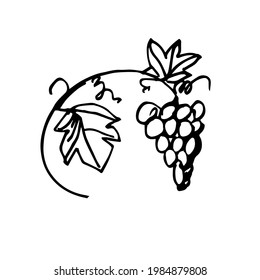 A bunch of grapes with a leaf. Sketch, Vector doodle illustration