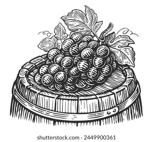 Bunch of grapes with leafs on wine wooden barrel. Winery, vineyard vintage vector illustration