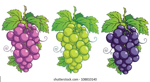 Bunch of grapes with leaves