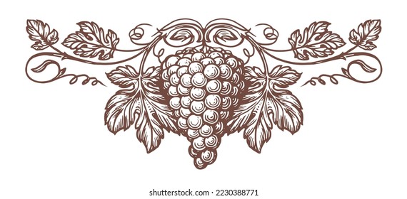 Bunch of grapes with leaves pattern vector. Fresh fruit sketch. Winery, wine, juicy element for label design