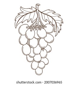 un montón de uvas con hojas. El símbolo de la cosecha. Tema del otoño. Elemento de diseño con contorno. Doodle, dibujado a mano. Ilustración vectorial blanca negra. Aislado sobre un fondo blanco