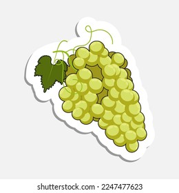 Bunch of grapes with leaves and tendrils in doodle style. Hand drawn cartoon icon with stroke. Cartoon vector sticker isolated on white background