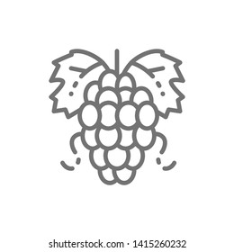 Bunch of grapes line icon.