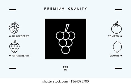 Bunch of grapes line icon. Graphic elements for your design