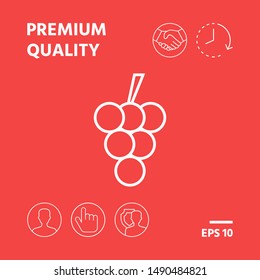 Bunch of grapes line icon. Graphic elements for your design
