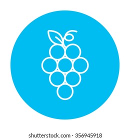 Icono de línea de racimo de uvas para web, móvil e infografía. Icono de blanco vector en el círculo azul claro aislado en fondo blanco.