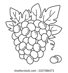 Montón de uvas. Bayas de dibujo lineal de uvas con hojas. Ilustración vectorial de la vid. Icono de fruta tropical. Página de color del postre dulce.