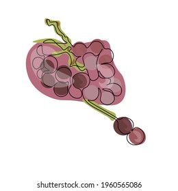 A bunch of grapes made in one line. Vector image. Will decorate any kitchen design, summer menu and food packaging.