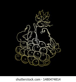 A bunch of grapes on a black background. Drawing for labels, packaging. Golden grapes.
