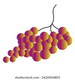 A bunch of grapes on a branch on a white background. Vector drawing of juicy lilac-yellow grapes.