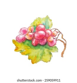 Bunch of grapes on a leaf. Isolated