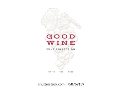 Bunch of grapes on light background. Engraved style. Logo template for wine store, wine card design, restaurant menu or bar. Vector illustration.