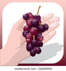 a bunch of grapes on a plate