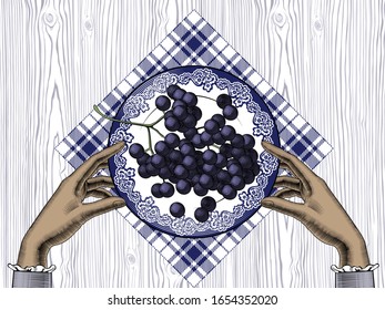 Bunch of grapes on a plate. Vintage engraving color stylized drawing. Vector illustration 