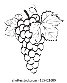 Bunch of grapes on white background