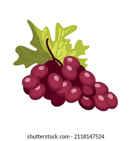 Bunch of grapes on white background isometric vector illustration