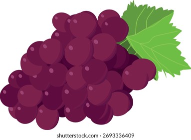 A bunch of grapes on a white background