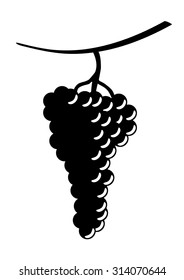 bunch of grapes on a white background