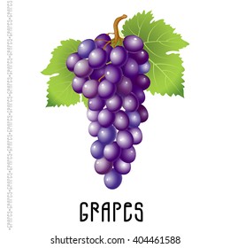 Bunch of grapes on a white background