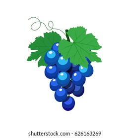 Bunch of grapes on a white background.
