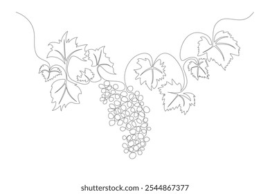 Manojo de uvas Una línea continua Dibujo Signo Emblema. Ilustración vectorial de la uva de estilo lineal simple