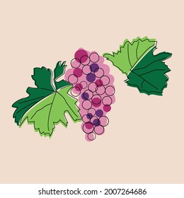 a bunch of grapes pink with leaves