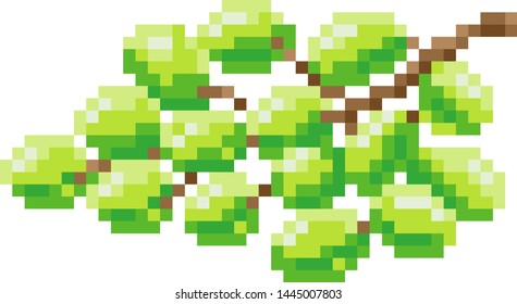 A bunch of grapes pixel art 8 bit video game style fruit icon