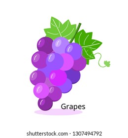 Bunch of grapes purple icon on white background. Fresh fruit vector