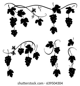 Bunch of grapes - set of few decorative elements for designers, black and white vector illustration