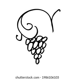 A bunch of grapes. Sketch, hand-drawn drawing. Vector doodle illustration