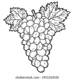 Montón de uvas. Esbozar la imitación de tablero de arañazos. Blanco y negro.
