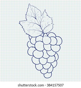 Bunch of grapes. Sketch. Vector illustration on Notebook sheet  background
