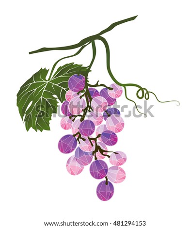 Bunch of grapes stylized polygonal
